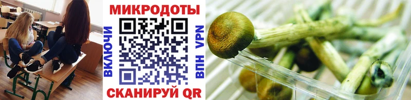 Псилоцибиновые грибы прущие грибы  где продают   Домодедово 